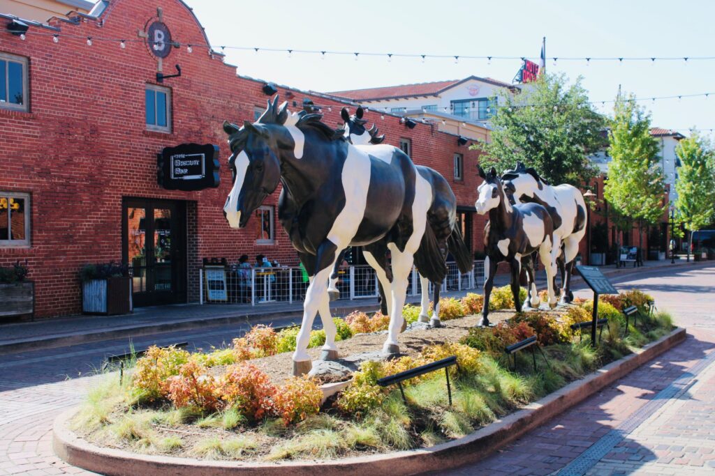 Mule Alley is the redeveloped area of the Fort Worth Stockyards. Hotel Drover sits at the end along with saloons, bars, restaurants 