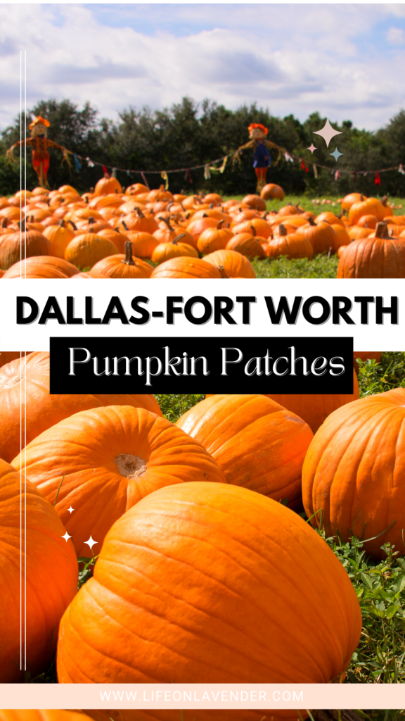 DFW Pumpkin Patches. Pinterest Pin