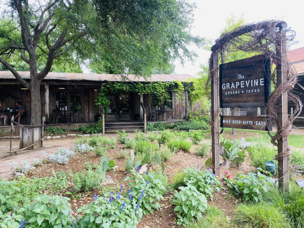 The Grapevine Gruene Texas Wine Bar and Restaurant 