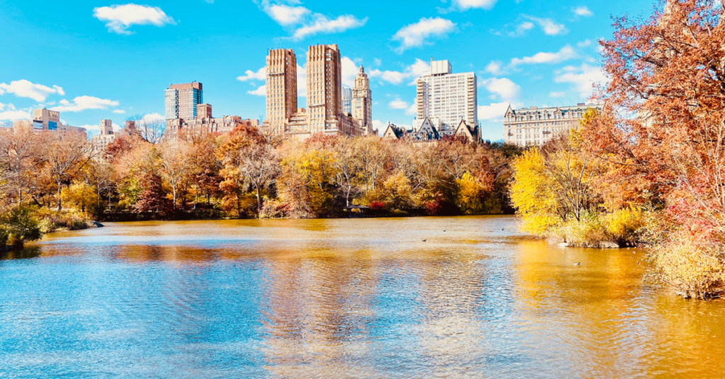 Fall in NYC is the perfect time to explore. The weather is beautiful, the air is cool and the colors are stunning. 