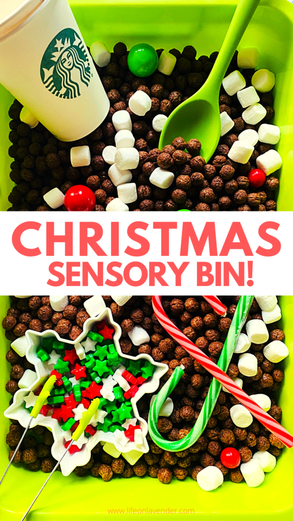 Christmas Sensory Bin. Pinterest Pin, please pin!