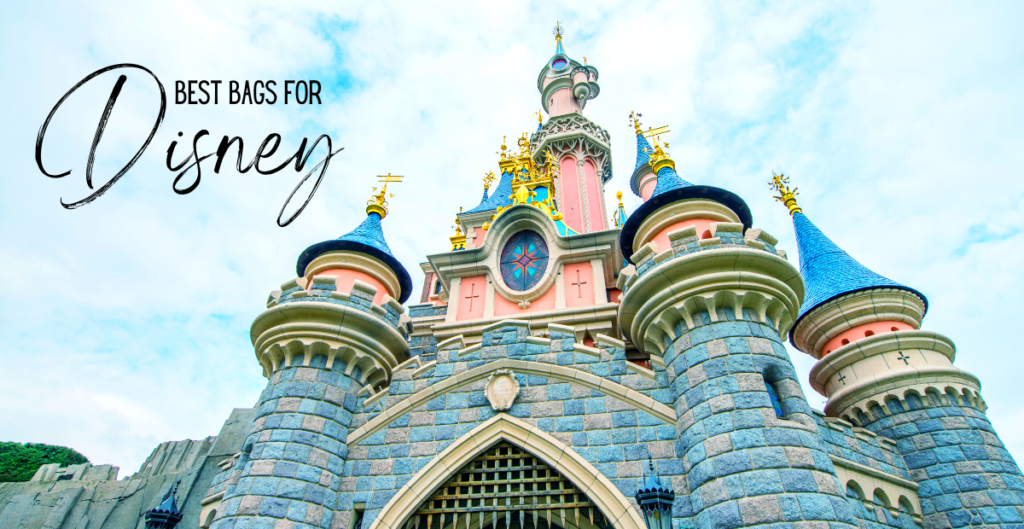 best bag for Disney, options for your family!