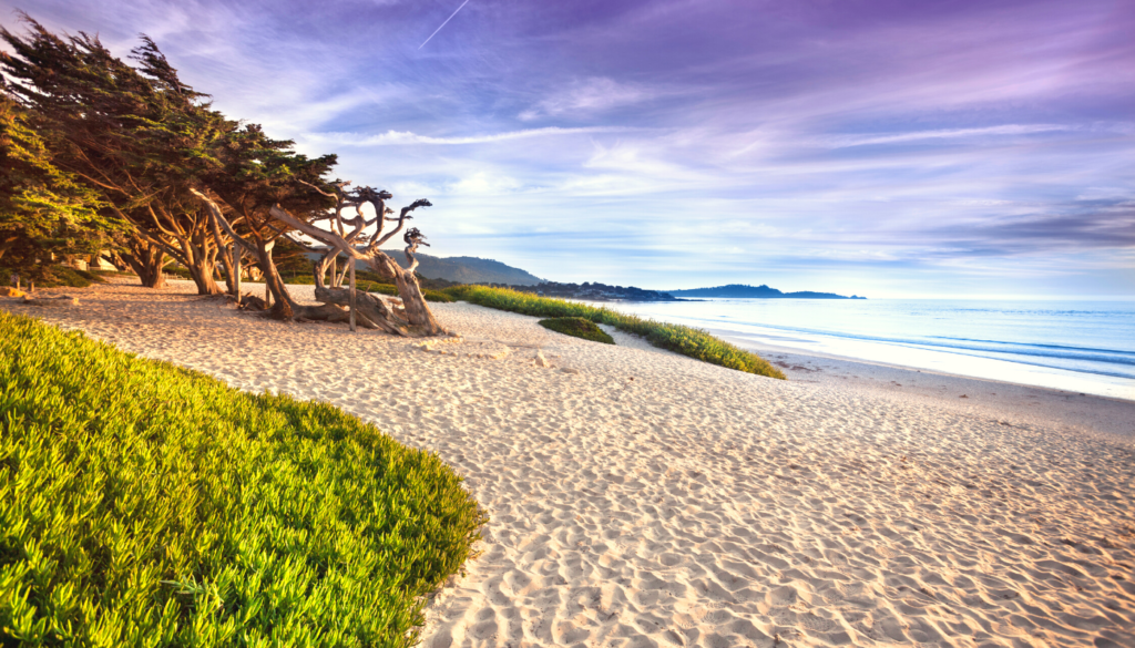 Carmel by the Sea is a lesser know spot in Cali and an excellent warm places in January USA